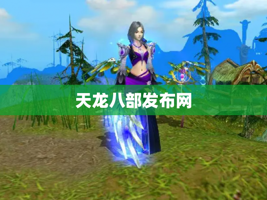 天龙八部发布网