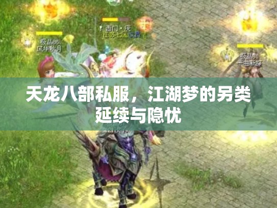 天龙八部私服，江湖梦的另类延续与隐忧