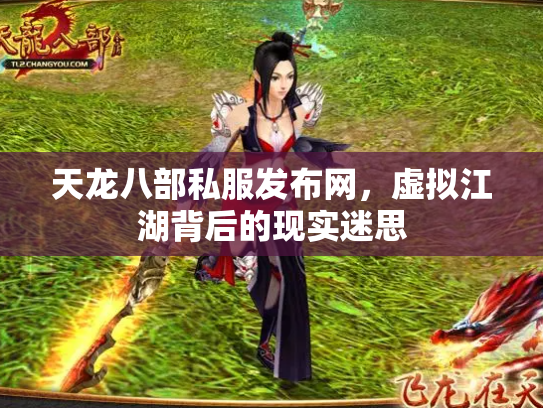 天龙八部私服发布网，虚拟江湖背后的现实迷思