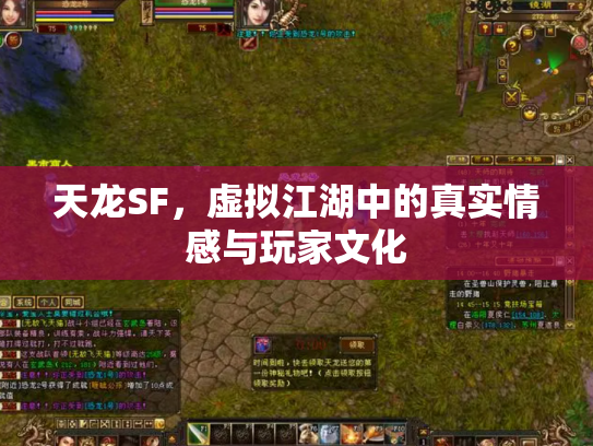 天龙SF，虚拟江湖中的真实情感与玩家文化