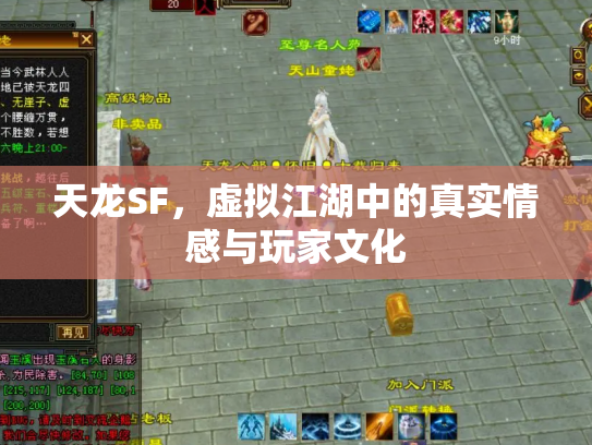 天龙SF，虚拟江湖中的真实情感与玩家文化