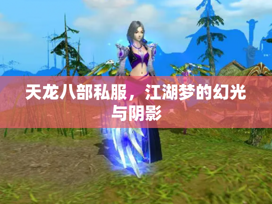 天龙八部私服，江湖梦的幻光与阴影