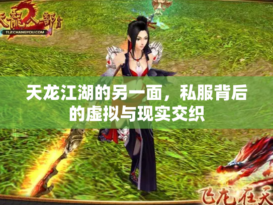 天龙江湖的另一面，私服背后的虚拟与现实交织