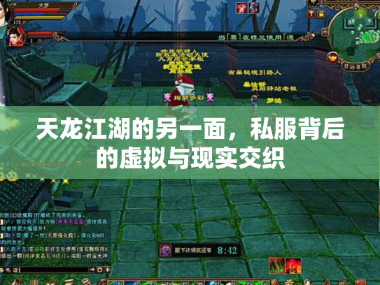 天龙江湖的另一面，私服背后的虚拟与现实交织