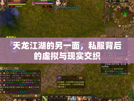 天龙江湖的另一面，私服背后的虚拟与现实交织