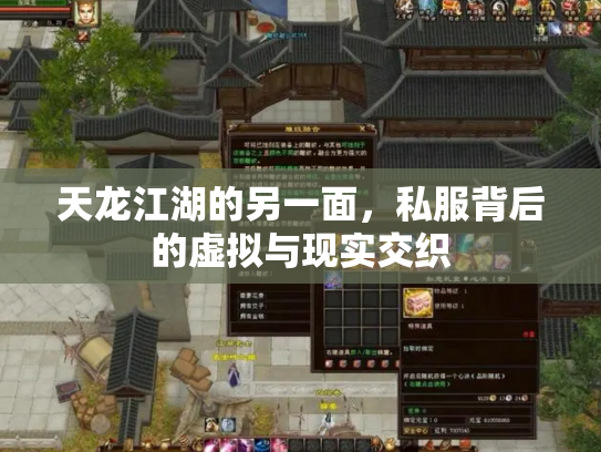 天龙江湖的另一面，私服背后的虚拟与现实交织