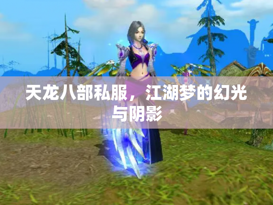 天龙八部私服，江湖梦的幻光与阴影