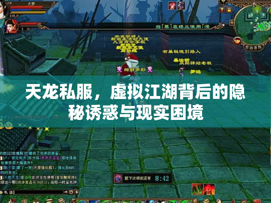 天龙私服，虚拟江湖背后的隐秘诱惑与现实困境