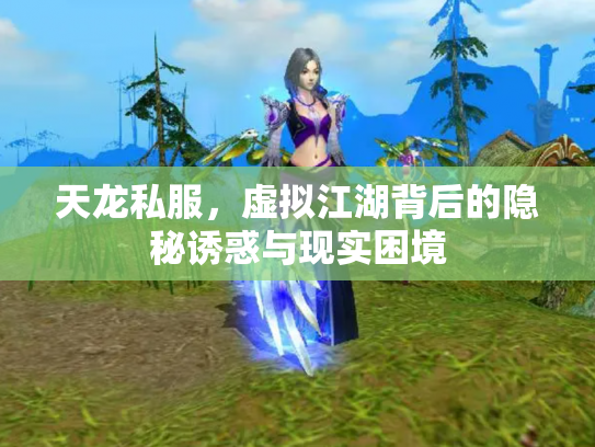 天龙私服，虚拟江湖背后的隐秘诱惑与现实困境