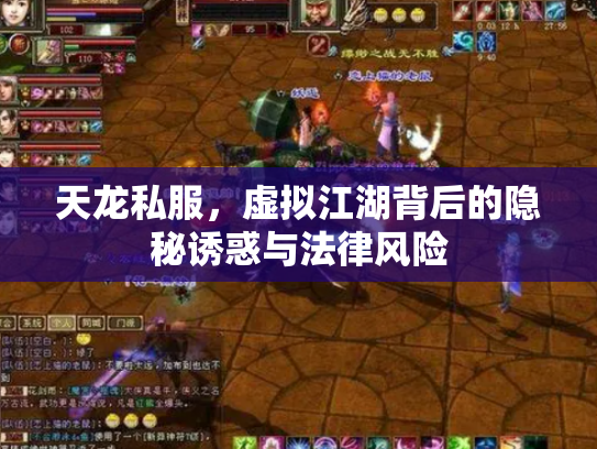 天龙私服，虚拟江湖背后的隐秘诱惑与法律风险