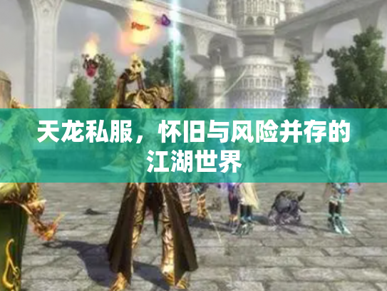 天龙私服，怀旧与风险并存的江湖世界