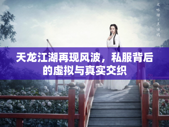 天龙江湖再现风波，私服背后的虚拟与真实交织
