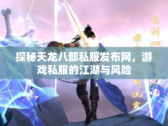 探秘天龙八部私服发布网，游戏私服的江湖与风险