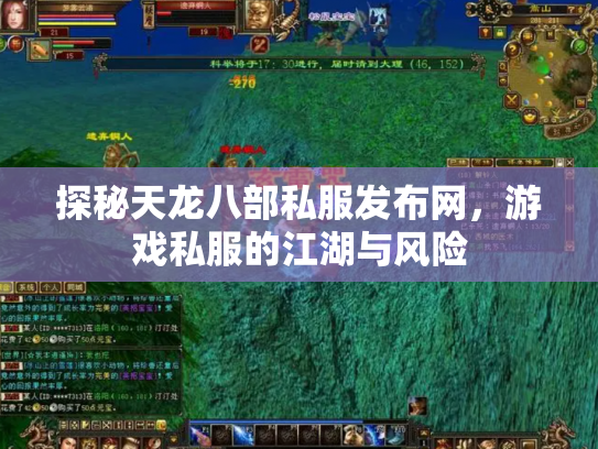 探秘天龙八部私服发布网，游戏私服的江湖与风险