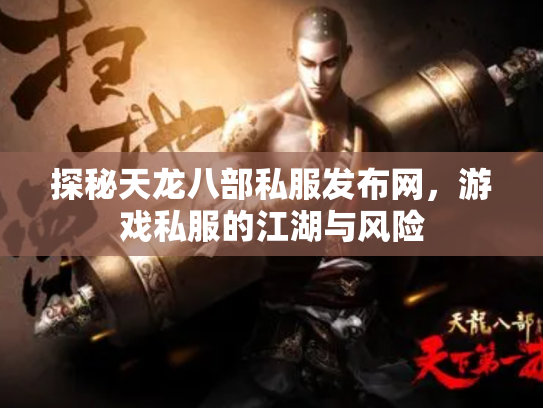 探秘天龙八部私服发布网，游戏私服的江湖与风险