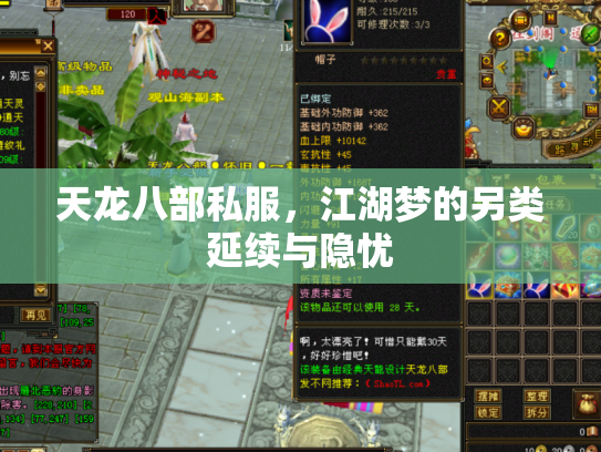 天龙八部私服，江湖梦的另类延续与隐忧