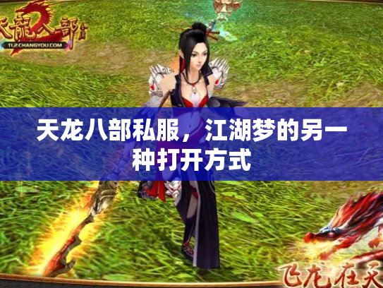 天龙八部私服，江湖梦的另一种打开方式