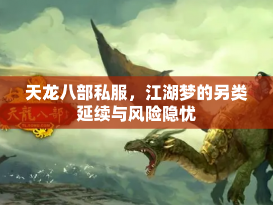 天龙八部私服，江湖梦的另类延续与风险隐忧