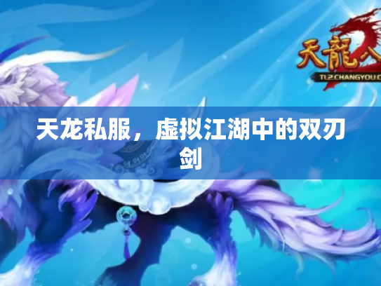 天龙私服，虚拟江湖中的双刃剑