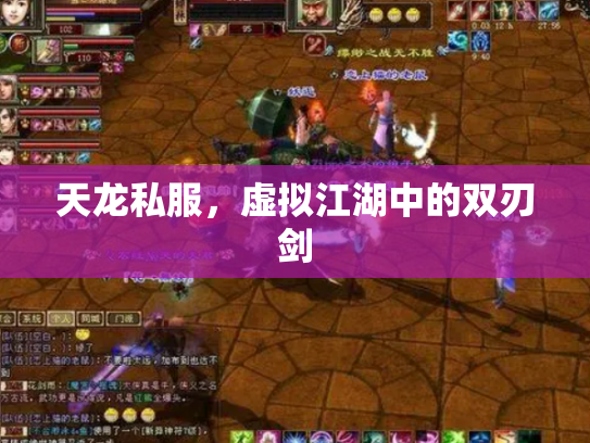天龙私服，虚拟江湖中的双刃剑