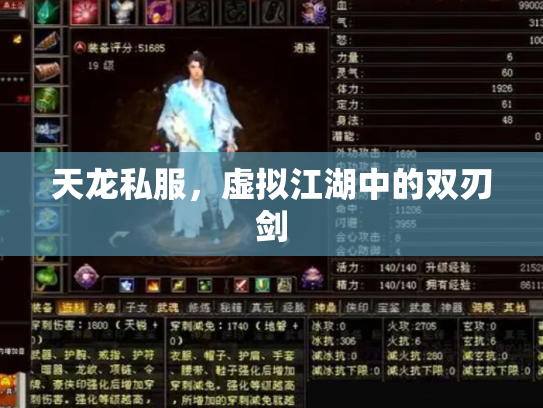 天龙私服，虚拟江湖中的双刃剑