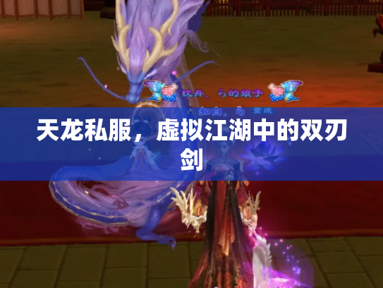 天龙私服，虚拟江湖中的双刃剑