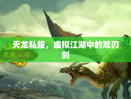 天龙私服，虚拟江湖中的双刃剑