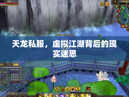 天龙私服，虚拟江湖背后的现实迷思