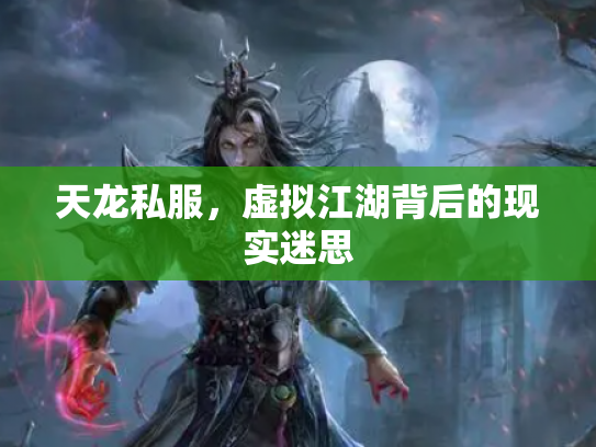 天龙私服，虚拟江湖背后的现实迷思