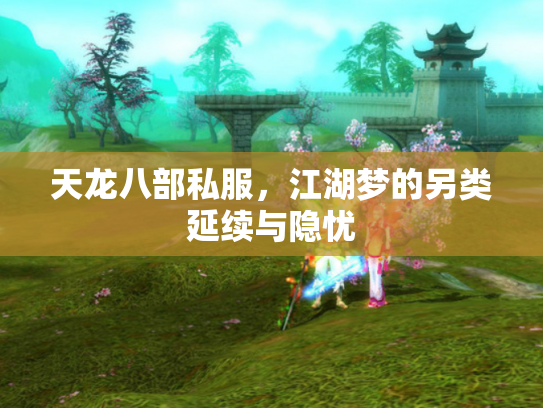 天龙八部私服，江湖梦的另类延续与隐忧