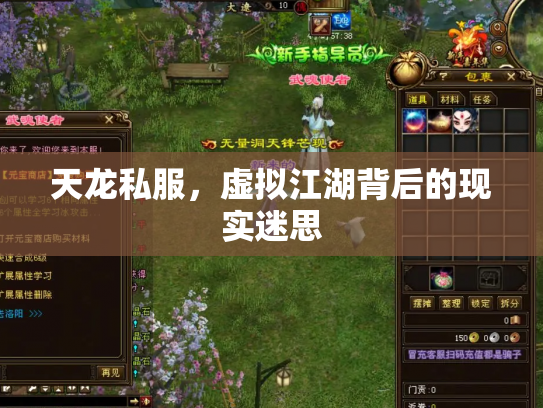 天龙私服，虚拟江湖背后的现实迷思