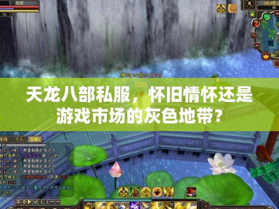 天龙八部私服，怀旧情怀还是游戏市场的灰色地带？