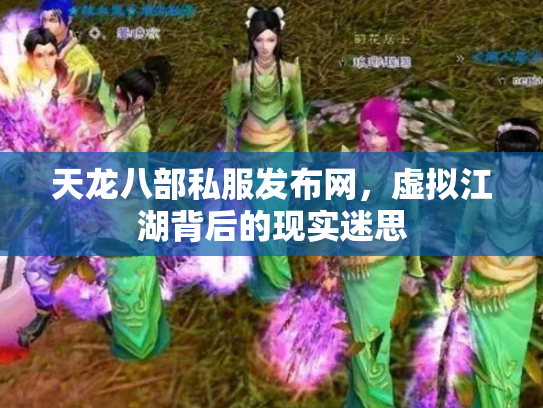 天龙八部私服发布网，虚拟江湖背后的现实迷思