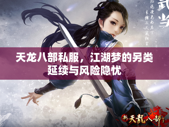 天龙八部私服，江湖梦的另类延续与风险隐忧