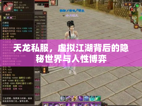 天龙私服，虚拟江湖背后的隐秘世界与人性博弈