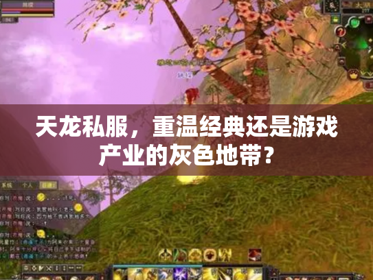 天龙私服，重温经典还是游戏产业的灰色地带？