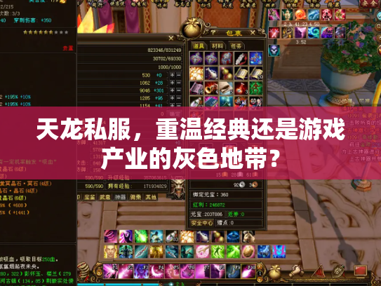 天龙私服，重温经典还是游戏产业的灰色地带？