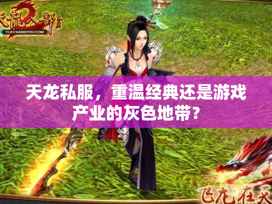 天龙私服，重温经典还是游戏产业的灰色地带？