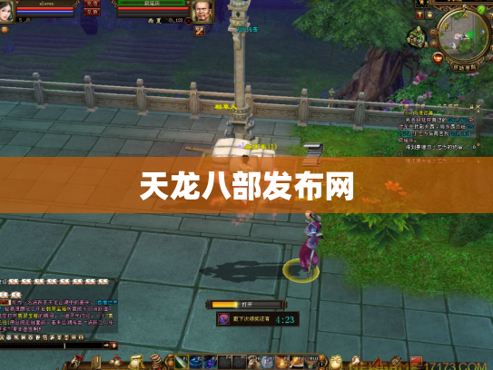 天龙八部发布网