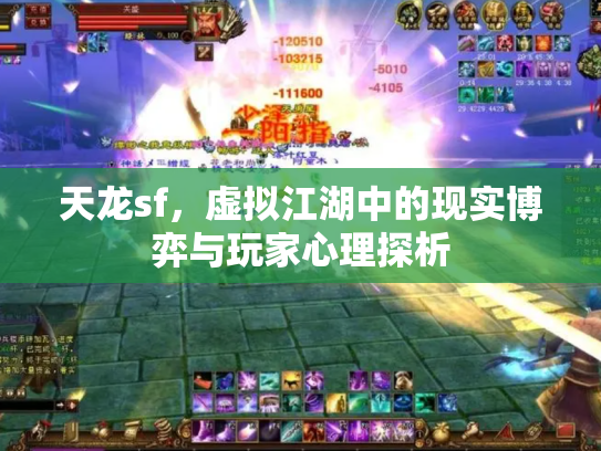 天龙sf，虚拟江湖中的现实博弈与玩家心理探析