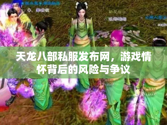 天龙八部私服发布网，游戏情怀背后的风险与争议
