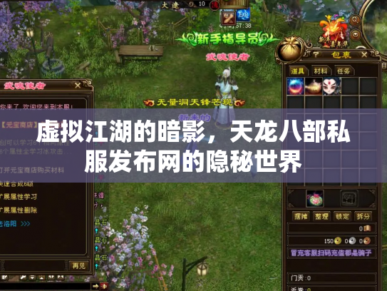 虚拟江湖的暗影，天龙八部私服发布网的隐秘世界