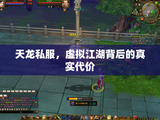 天龙私服，虚拟江湖背后的真实代价