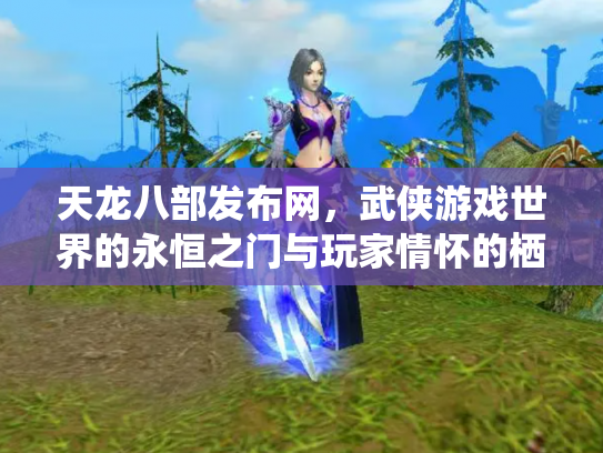 天龙八部发布网，武侠游戏世界的永恒之门与玩家情怀的栖息地