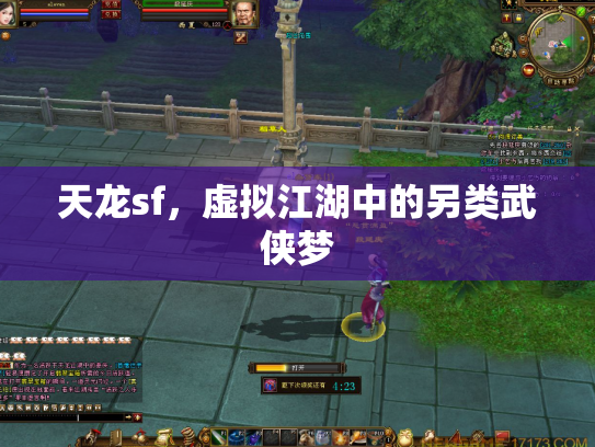 天龙sf，虚拟江湖中的另类武侠梦