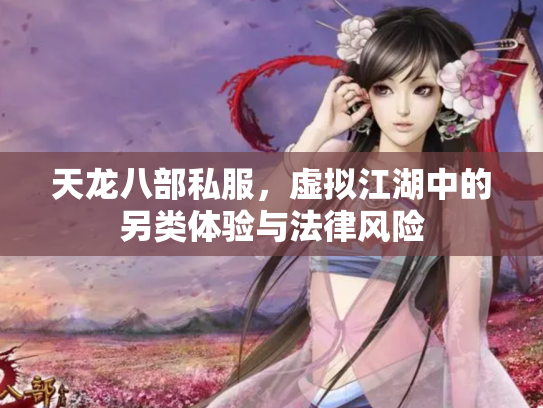 天龙八部私服，虚拟江湖中的另类体验与法律风险