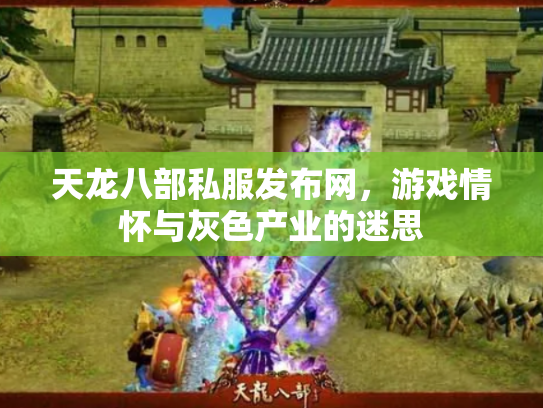 天龙八部私服发布网，游戏情怀与灰色产业的迷思