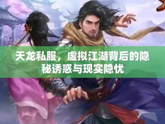 天龙私服，虚拟江湖背后的隐秘诱惑与现实隐忧