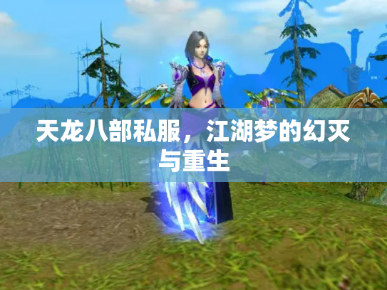 天龙八部私服，江湖梦的幻灭与重生