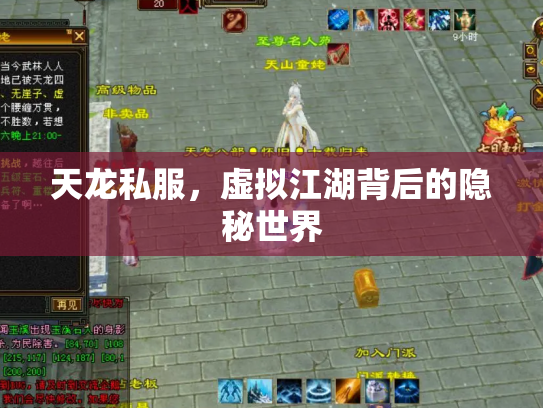 天龙私服，虚拟江湖背后的隐秘世界